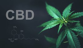 CBD danger