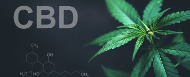 CBD danger
