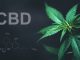 CBD danger