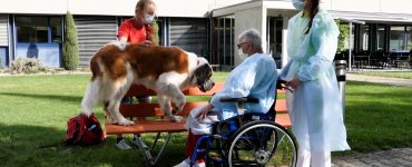 La thérapie assistée par l’animal