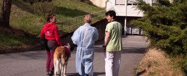 zoothérapie à St-Amé