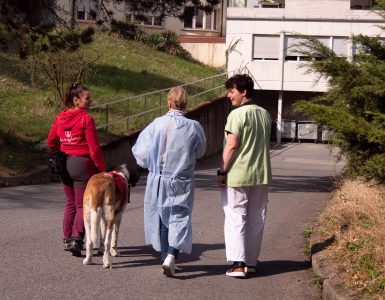 zoothérapie à St-Amé