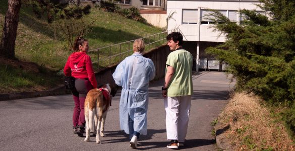 zoothérapie à St-Amé