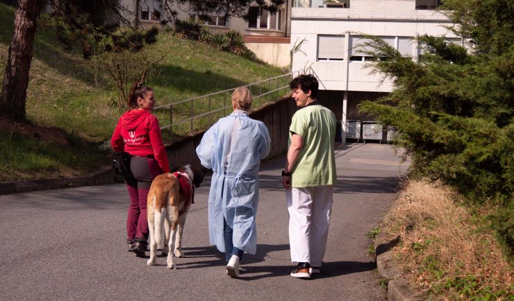 zoothérapie à St-Amé
