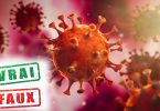 coronavirus