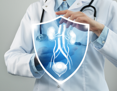 médecin montrant vessie