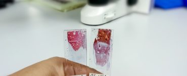 histocytopathologie