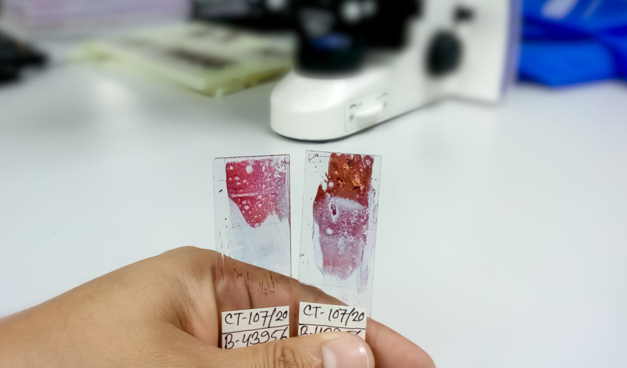 histocytopathologie